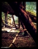 Nikita Photo BTS - Saison 4 